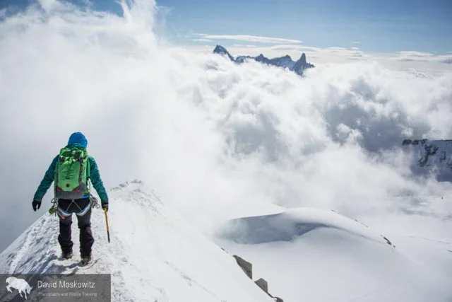 Erin Smart heads out on the snow arete leading away from the Aguille du Midi. Amazingly enough this photo was taken just a few meters from where the lift drops tourists, climbers and skiers off, leaving right from the town of Chamonix. One minute I was on the street eating a fresh pastry from a local bakery and 15 minutes later I found myself in some of the most stunning alpine terrain I have traversed in my life.