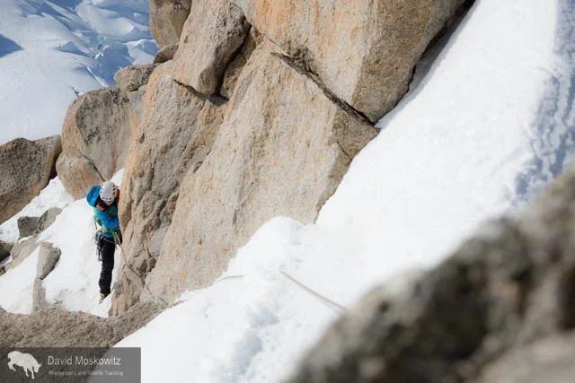 Erin navigating fresh snow on the Cosmiques arete, a classic climbing route on the west side of the Aguille du Midi.