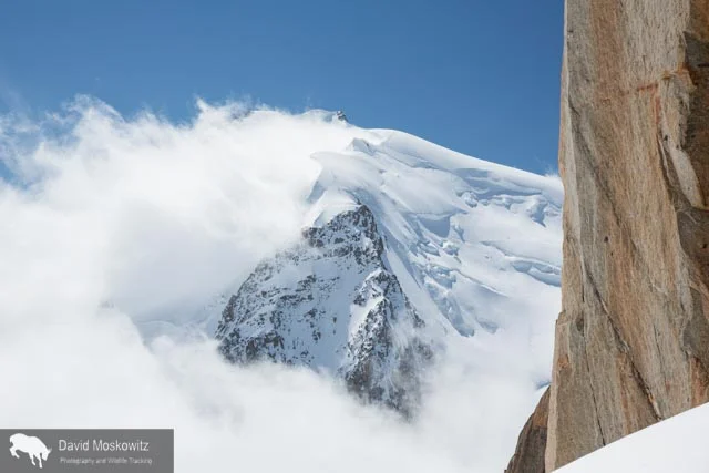 At 4810 meters (15,781 feet), Mount Blanc is the highest peak in the Alps. Clouds stream off of the lee side of the heavily glaciered peak.
