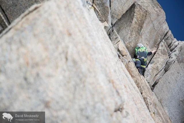 Erin getting into the crux moves of the route, a series of cracks leading through a large roof.