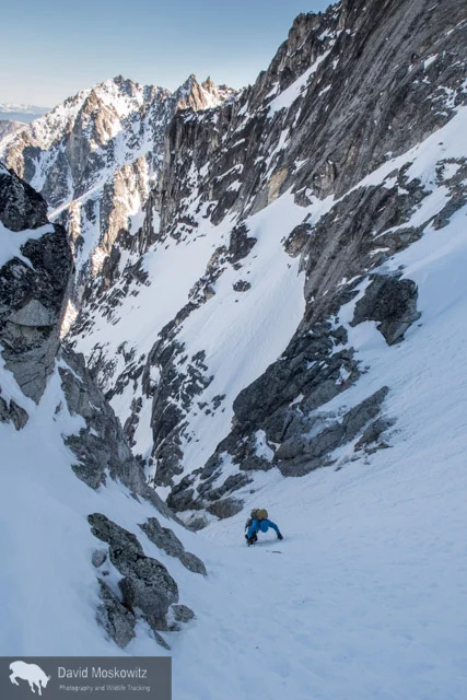 After we left camp at 5 am, unfortunately, my camera stayed tucked in my pack until high up on the route as we navigated three pitches of ice and the first two couloirs. After safely navigating into the third couloir, with all of the significant technical obstacles behind us I snapped a few shots. Here Cam ascends steep snow towards the bottom of the third couloir.