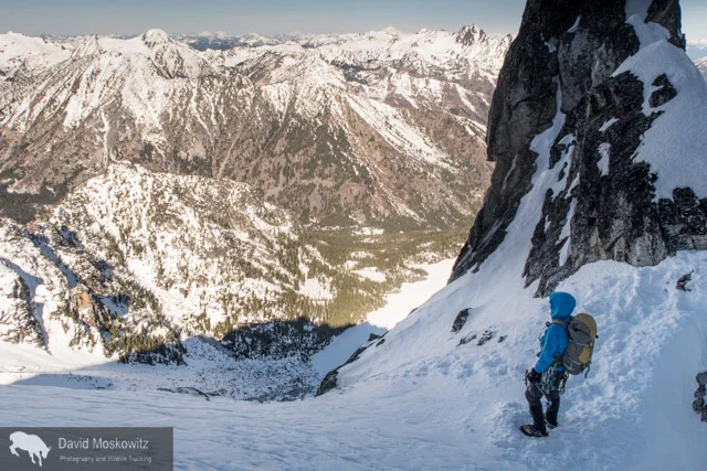 Close to the summit of the Triple Couloirs on Dragontail Peak, Cam Alford looks out over the snow covered North Cascades.