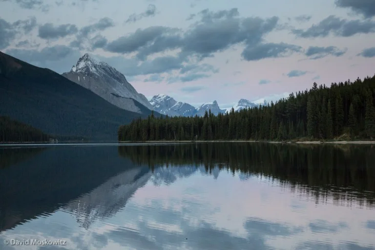 Maligne Lake in Jasper National Park. Mountain caribou populations are being closely monitored in even large wilderness landscapes such as in the Canadian Rockies.
