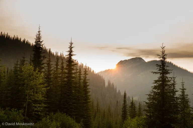 Sunset on the dark woods of the Darkwoods Conservation Area.