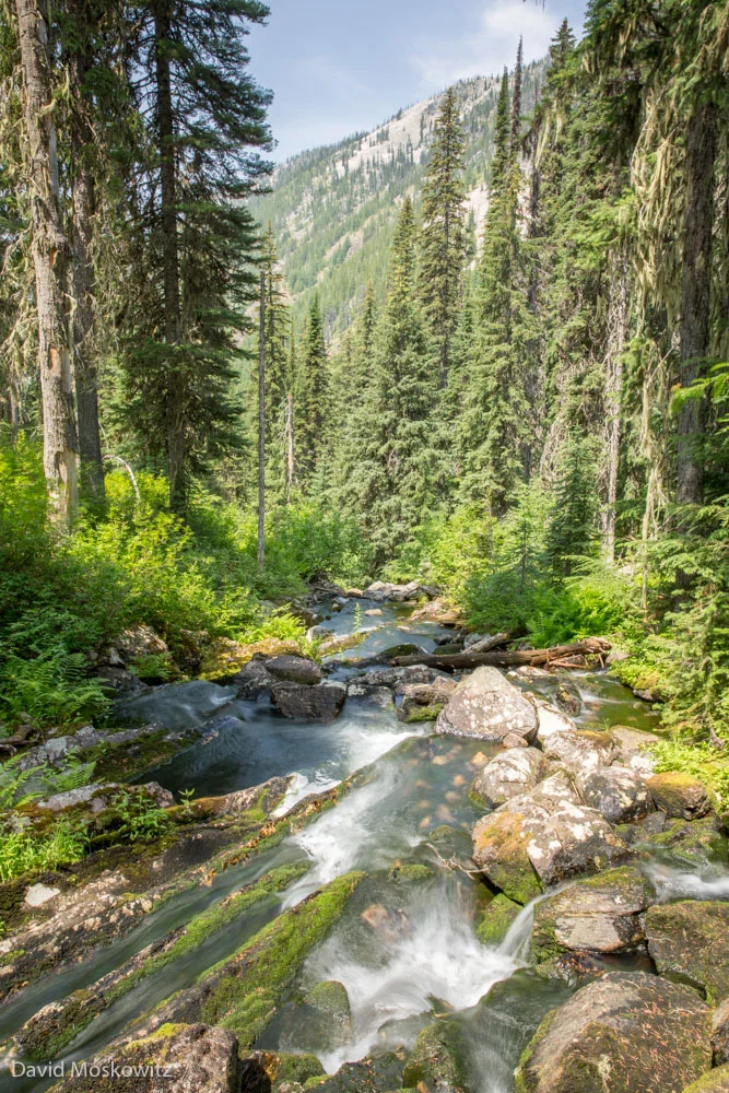 Streams like this one coming out of Waldie lake in the southern Selkirks are feed by winter snowpack which provides defacto water storage for hydro-electric projects downstream. Climate models predict that this water storage service will be significantly reduced as the regional climate warms.