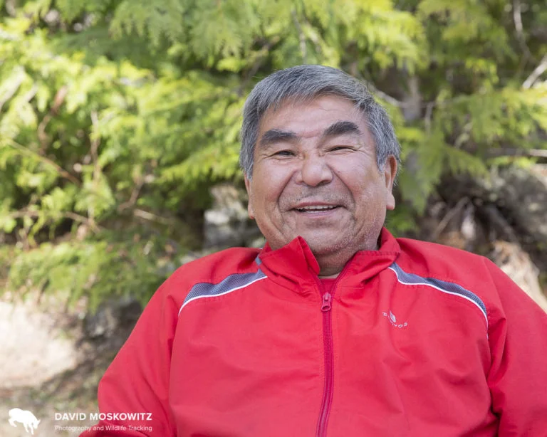 Former logger Leanard Edwards, member of Splatsin First Nation, shared his thoughts about caribou and his other work as an environmental monitor from the Revelstoke Maternity pen where he helps look after the captive cows and calves.