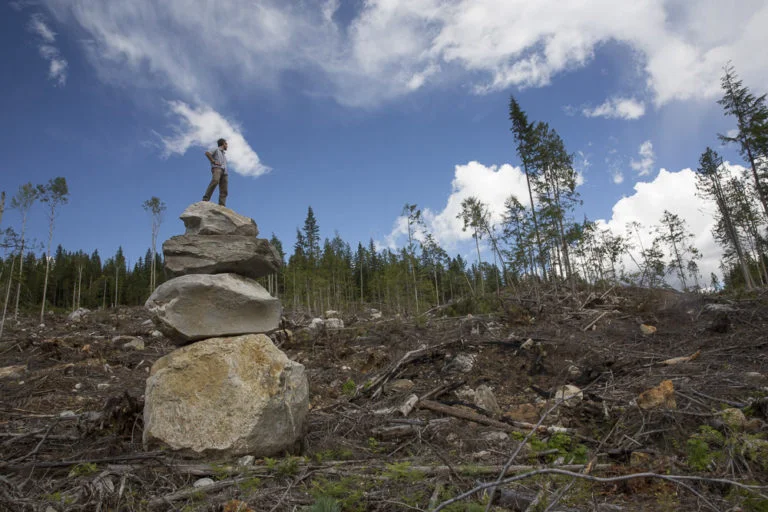David Moskowitz inspects a recent clearcut in the Upper Seymour River on the west slope of the Monashee Mountains. Photo by Marcus Reynerson.