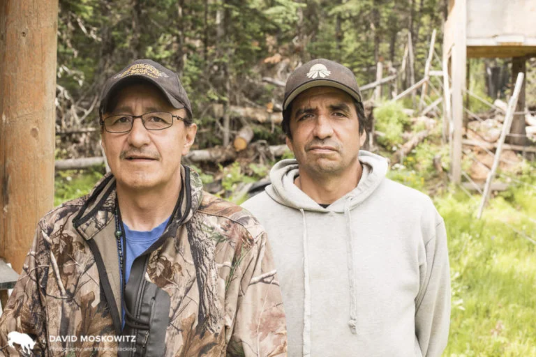 Harley Davis and Garret Napoleon of the Saulteau First Nation at the Klinze-sa Maternal pen where they help monitor captive caribou cows and calves.