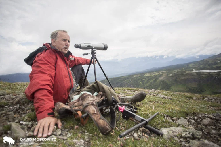 Brian Pate, biologist for Wildlife Infometrics uses a spotting scope to search for caribou and other wildlife in the Hart Range.