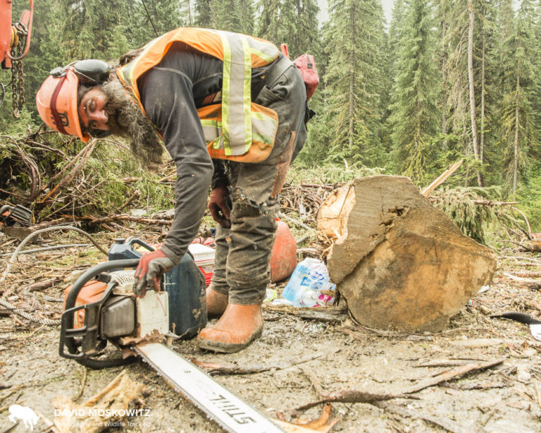 Paul Sarafinchan has been logging for three decades in the interior of British Columbia.