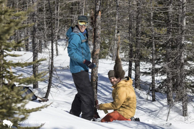 Cody Dems (left) and Adam Lieberg set a bait station in the Mission Mountains of Montana.