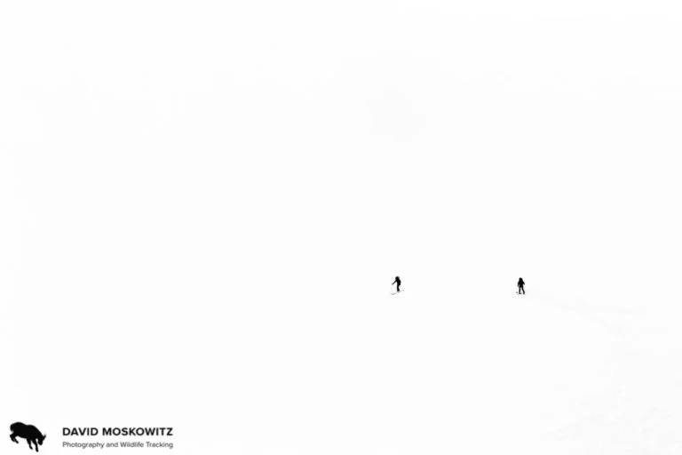 _10B8915