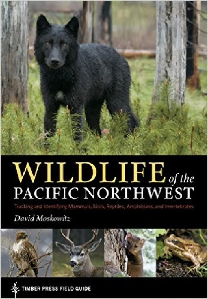 Wildlife-of-Pacific-Northwest.jpg