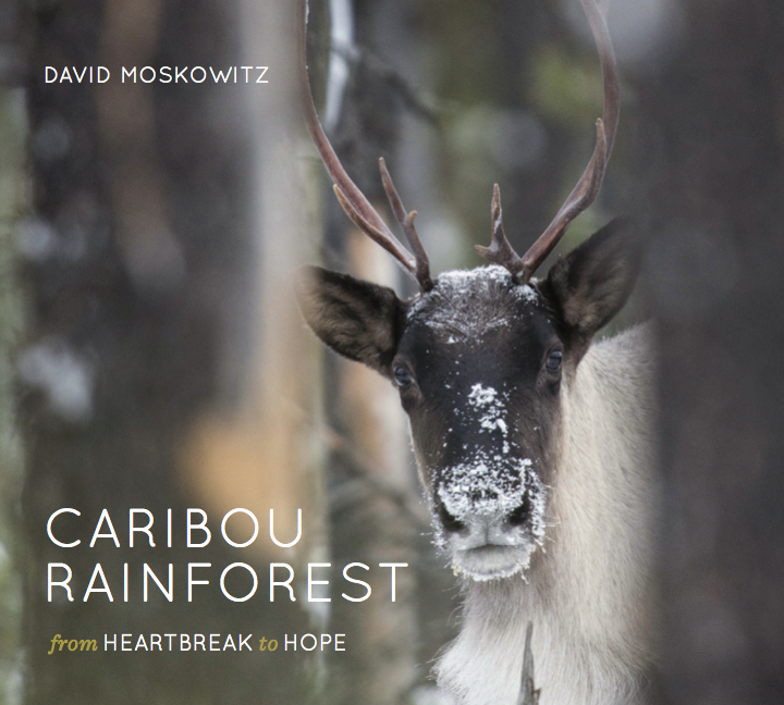 CaribouRainforest_Cover_Final.jpg