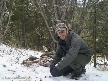 A photo of myself. As part of setting a camera trap I will trigger the camera and then inspect the images it is capturing to make sure the focal area of the camera is capturing the area I am interested in. Behind me is the remains of a mule deer that had been killed and consumed by wolves several weeks earlier. Here I am using the carcass as an attractant to draw carnivores into the range of the camera.