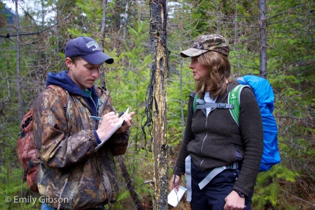 Mike Mayernik taking an answer from participant Andrea Stephens about the elk antler rub on the tree between them.