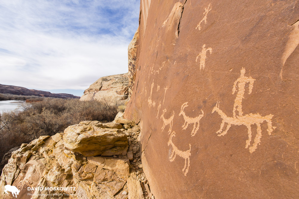 Petroglyph panal along the San Juan River, west of Bluff Utah.