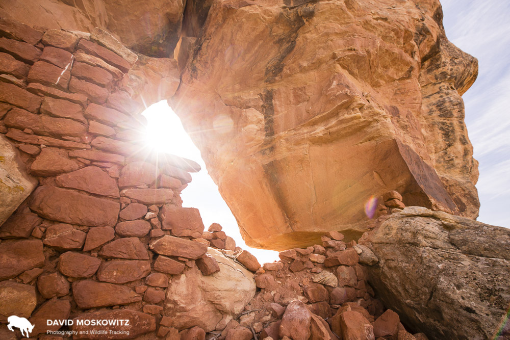One of the many spectacular ruins on Cedar Mesa, Utah. Bears Ears National Monument.