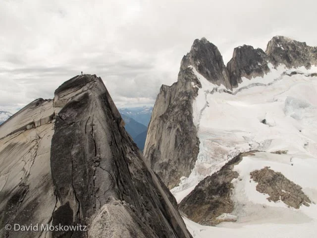 Unidentified climber on the false summit of Pigeon Spire. Howser Spires and the upper Vowell Glacier beyond.