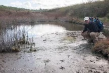 Erik Kingfisher, seen here inspecting the tracks of a Great Blue Heron, earned a Level 3 Track and Sign Certification.