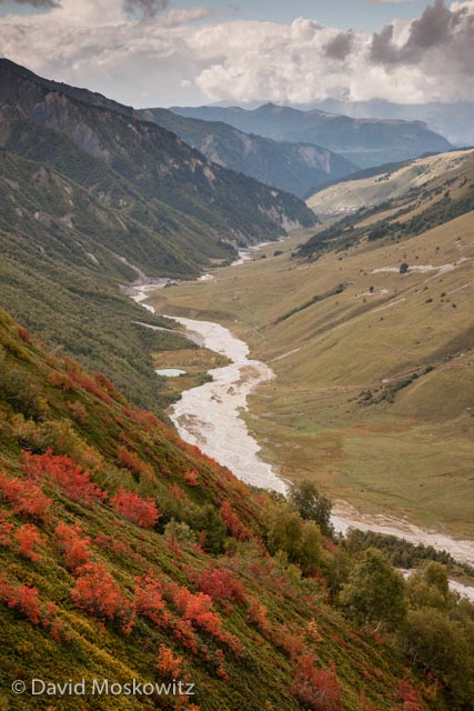 Mountain ash’s brilliant red-orange after the onset of fall temperatures above the glacier fed river leading down to the tiny and remote village of Adishi. Sveneti Region, Republic of Georgia.