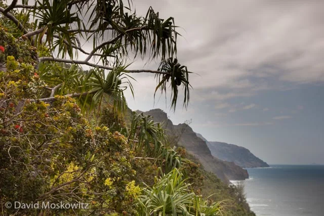 Another ocean view from the trail.