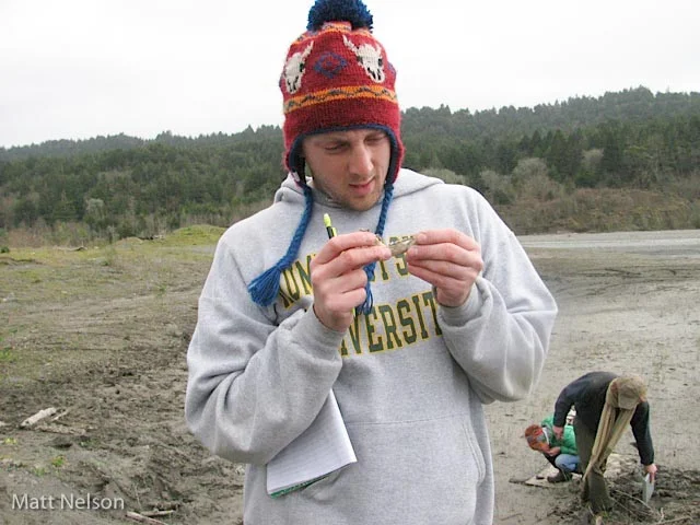 Andrew Underwood carefully inspects the mandible of a Virginia opposum (Didelphis virginianus). Identifying this bone was the last question on the evaluation. All questions on evaluations are about things which the Evaluator has found in the field. photo by Matt Nelson