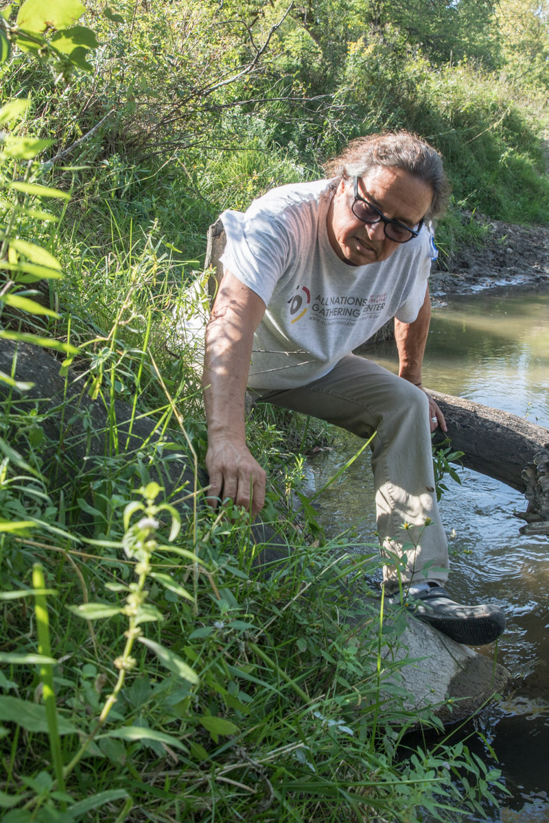  Dallas Chief Eagle collecting plants during a hike on the land where All Nations is based. 