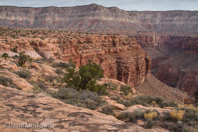  A view from the top. Cove Canyon falls away on the right. After reaching the rim we traversed several miles of beautiful slickrock to reach the entrance to Cove Canyon. 