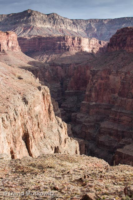  Looking down into Cove Canyon during our approach to its head from the rim. 