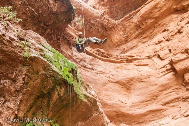 Ian on a free handing section of a rappell which took us down next to a trickling waterfall and beautiful hanging garden.