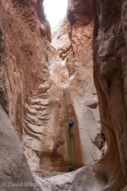 Canyoneer Lesley McClurg on rappell in Cove Canyon, Arizona.