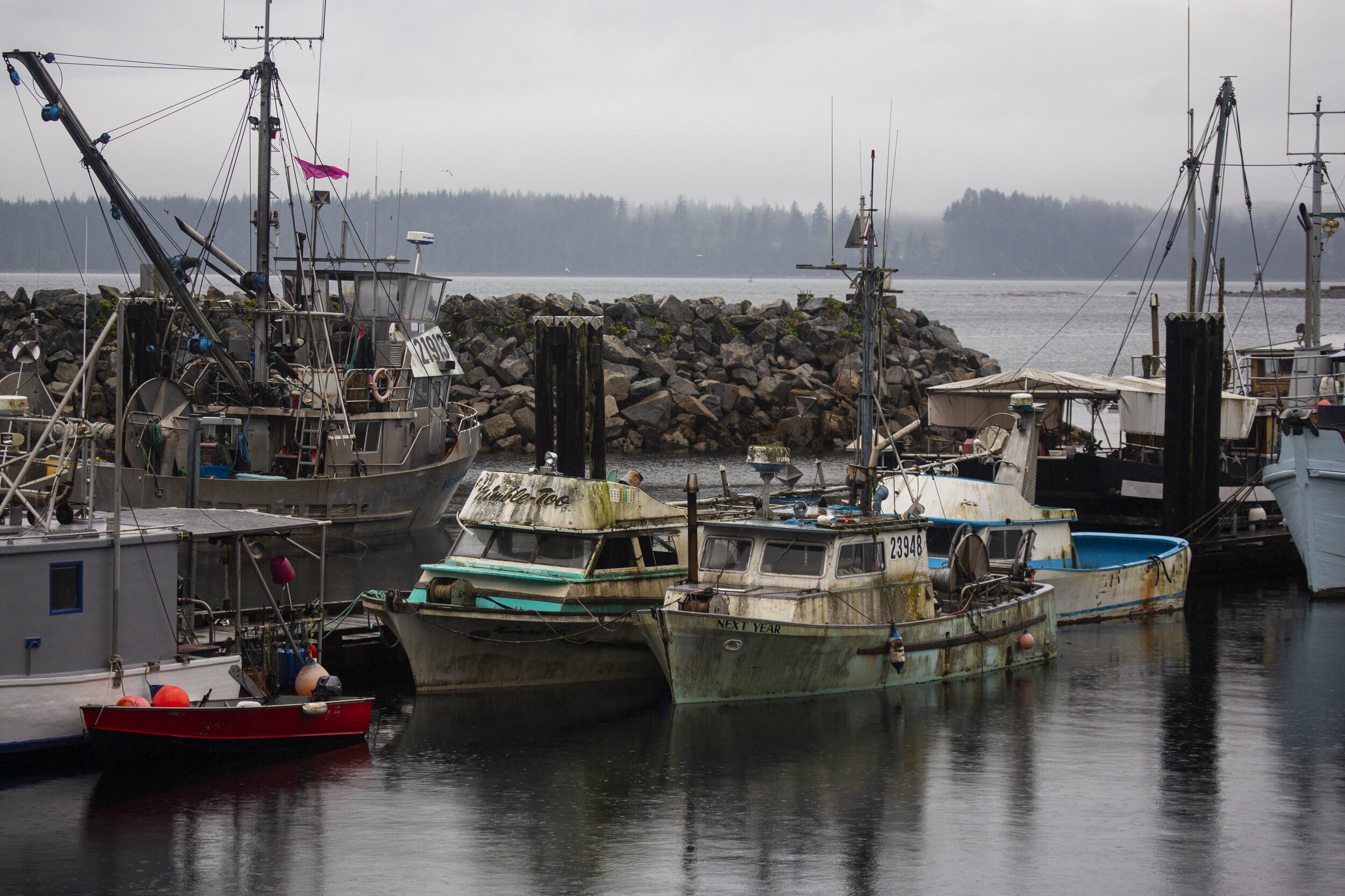  Commercial fishing boats, many of them in disrepair in Alert Bay, BC, speaks to the decline of fishing opportunities in the region. Many Namgis members were commercial fishermen before the local fisheries were closed due to declining stocks of fish.