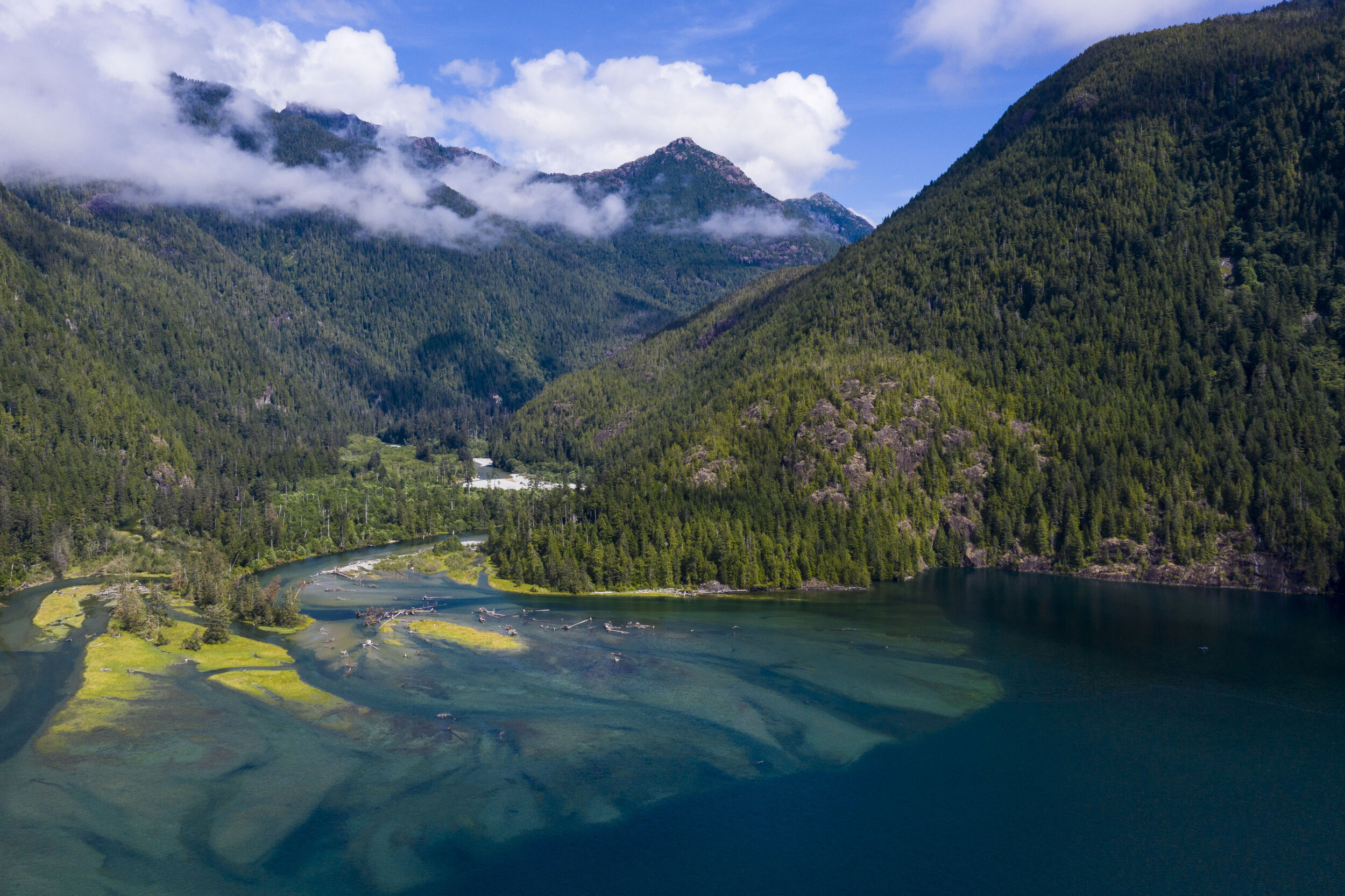  The mouth of the Moyeha River were it empties into Clayoqout Sound. Almost the entire river's watershed is protected in a provincial park but the salmon runs in the river have crashed. To access the open ocean, young salmon leaving the river must pa