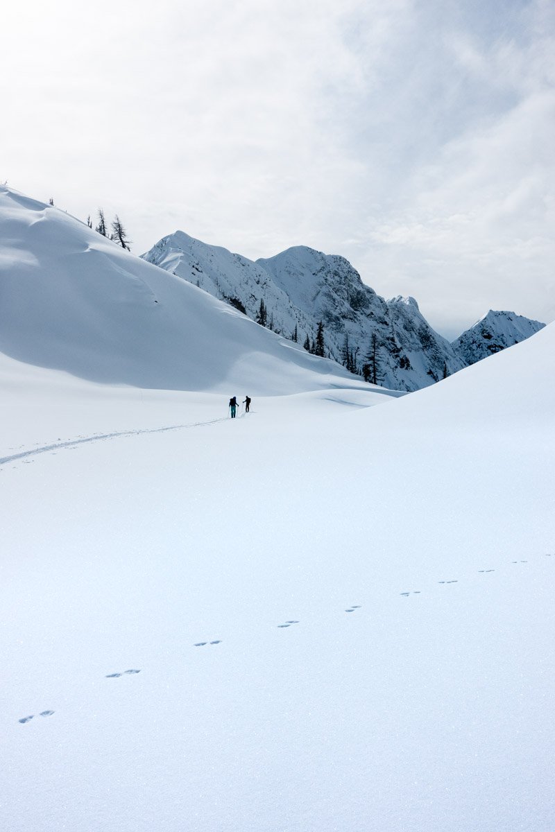  Bounding marten tracks cross the skin track of Steph Williams and Drew Lovell in Copper Basin, Washington Pass area of the North Cascades. 