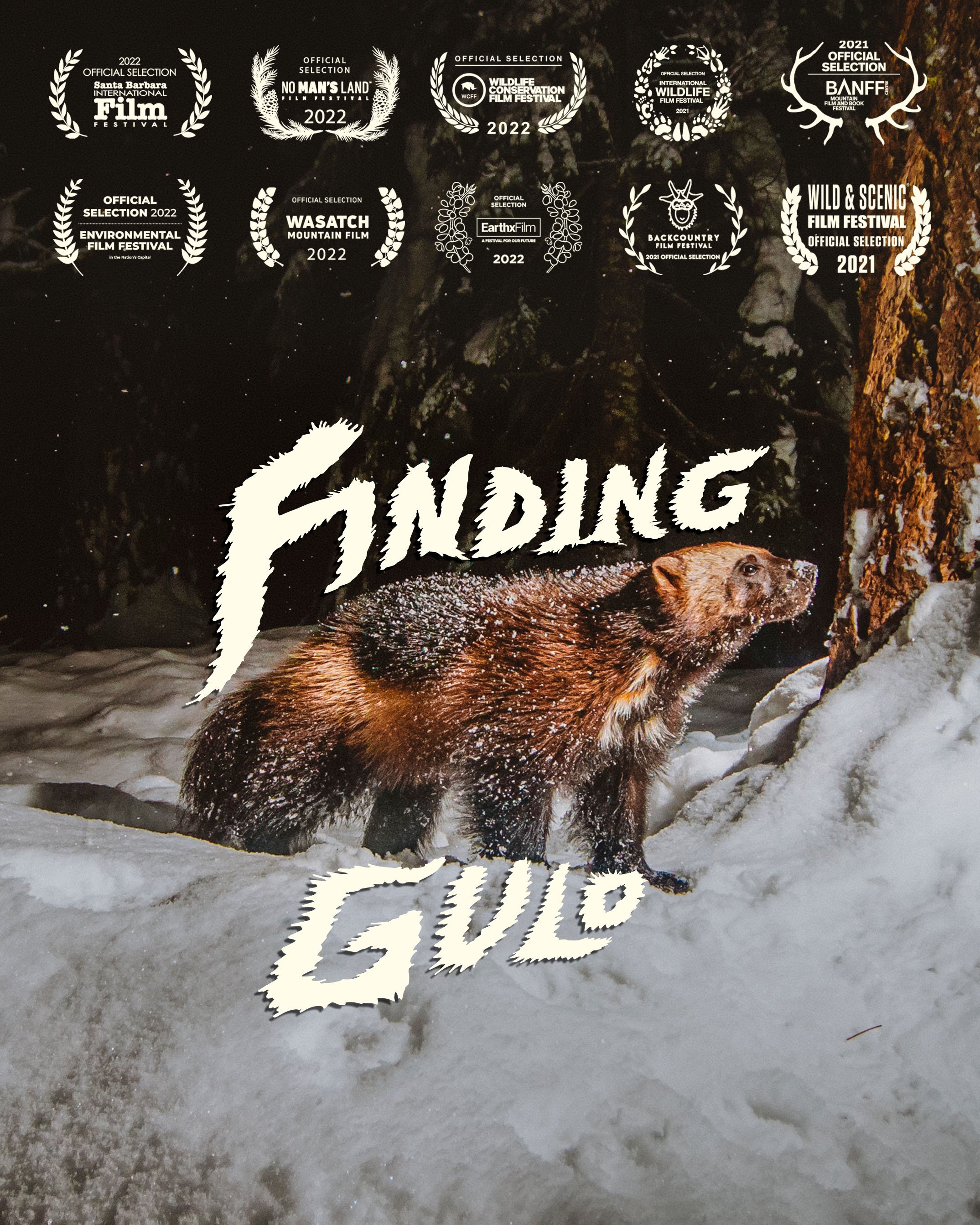 Finding Gulo Film Now Free To Watch Online