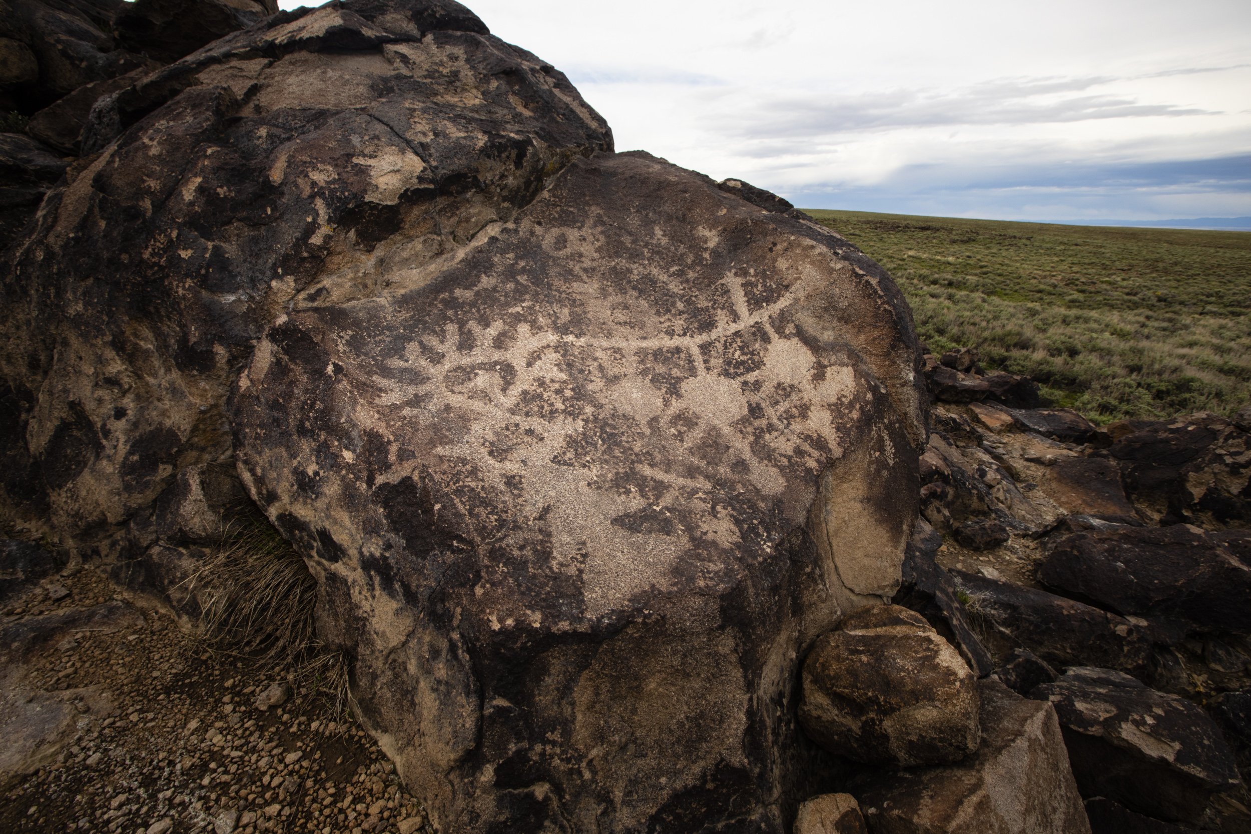 Ancient petroglyphs in the traditional territory of the Northern Pauite people.