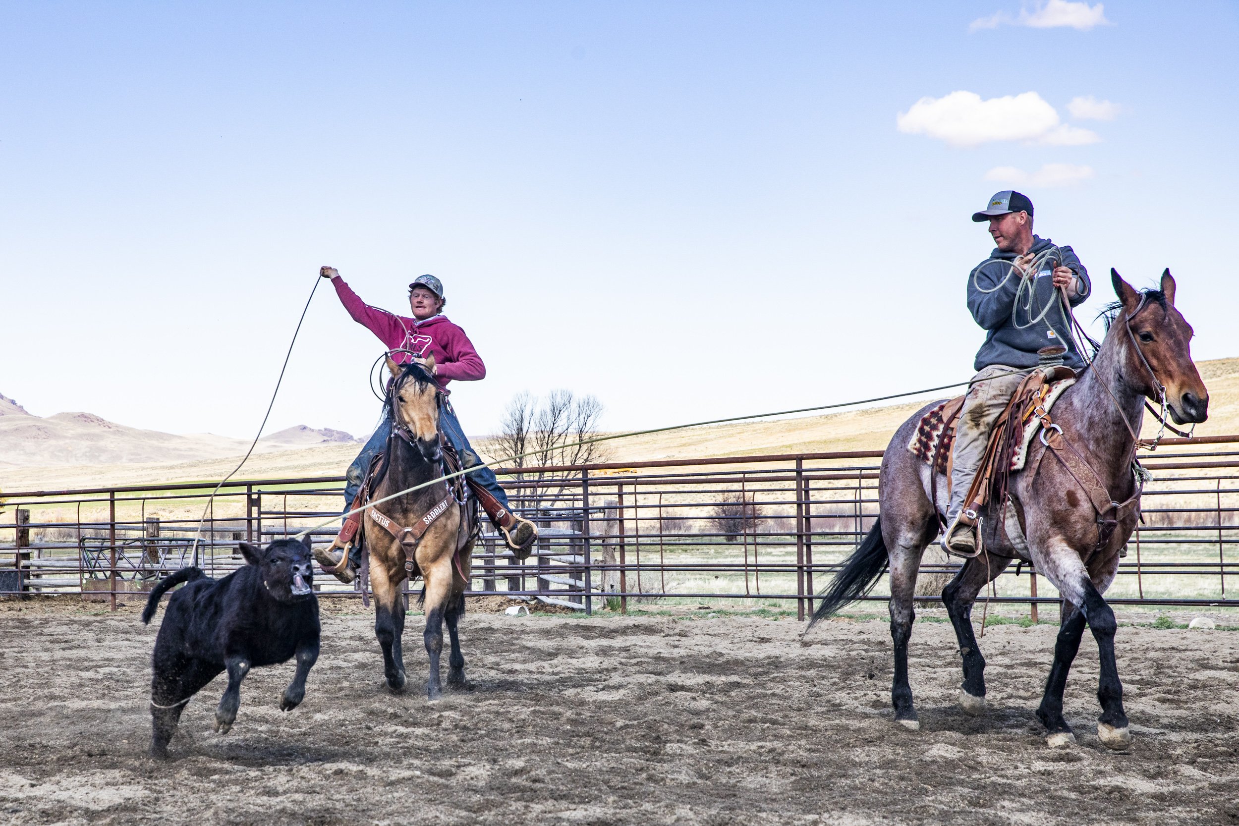 Ryan Mackenzie and Jaylen Eldridge rope a calf on family owned Mackenzie Ranch on Succor Creek, a tributary of the Snake River.