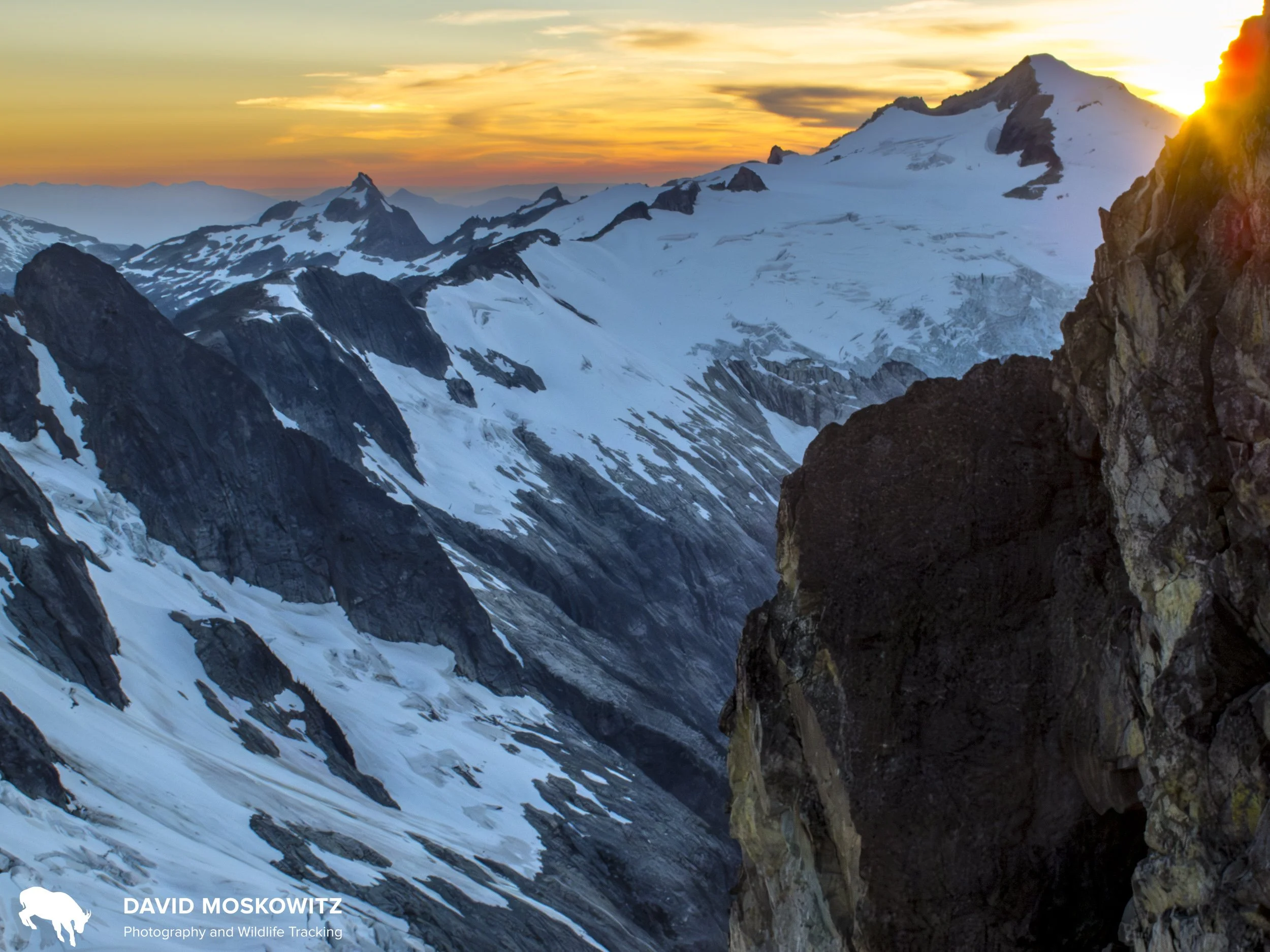 View from the north ridge of Forbidden Peak in North Cascades National Park.