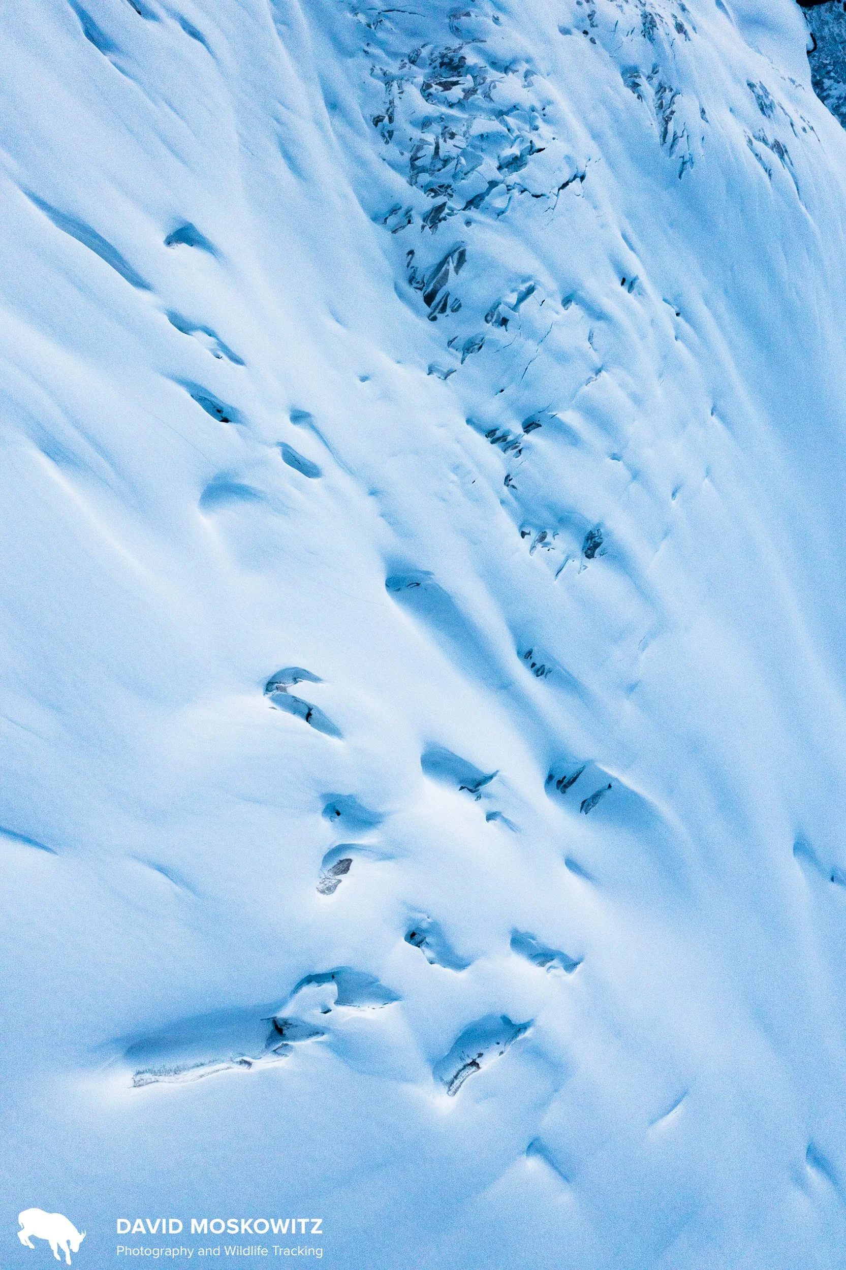 Snow and ice of the Columbia Icefield. Canadian Rockies.