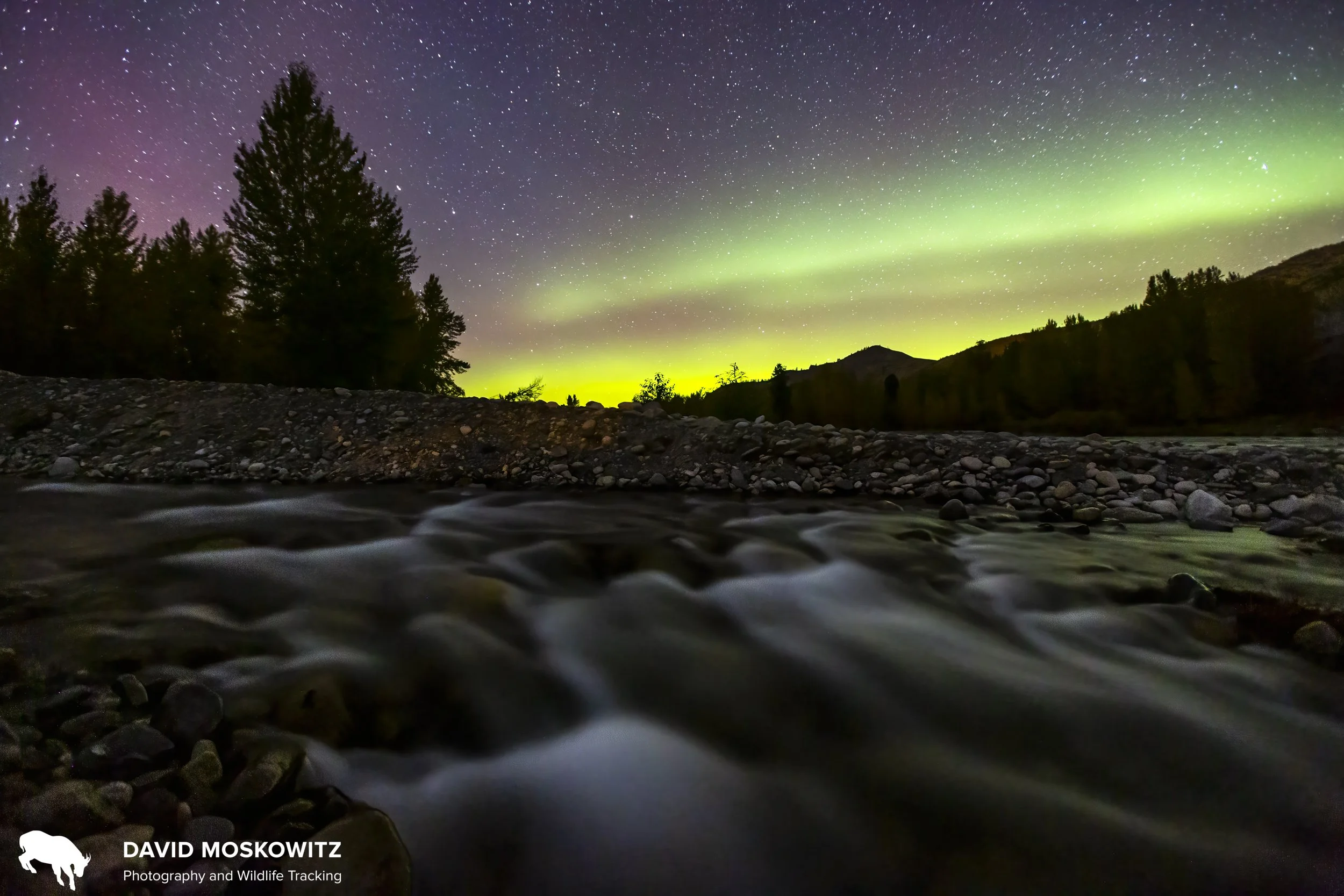 Aurora borealis on a tributary of the Columbia River