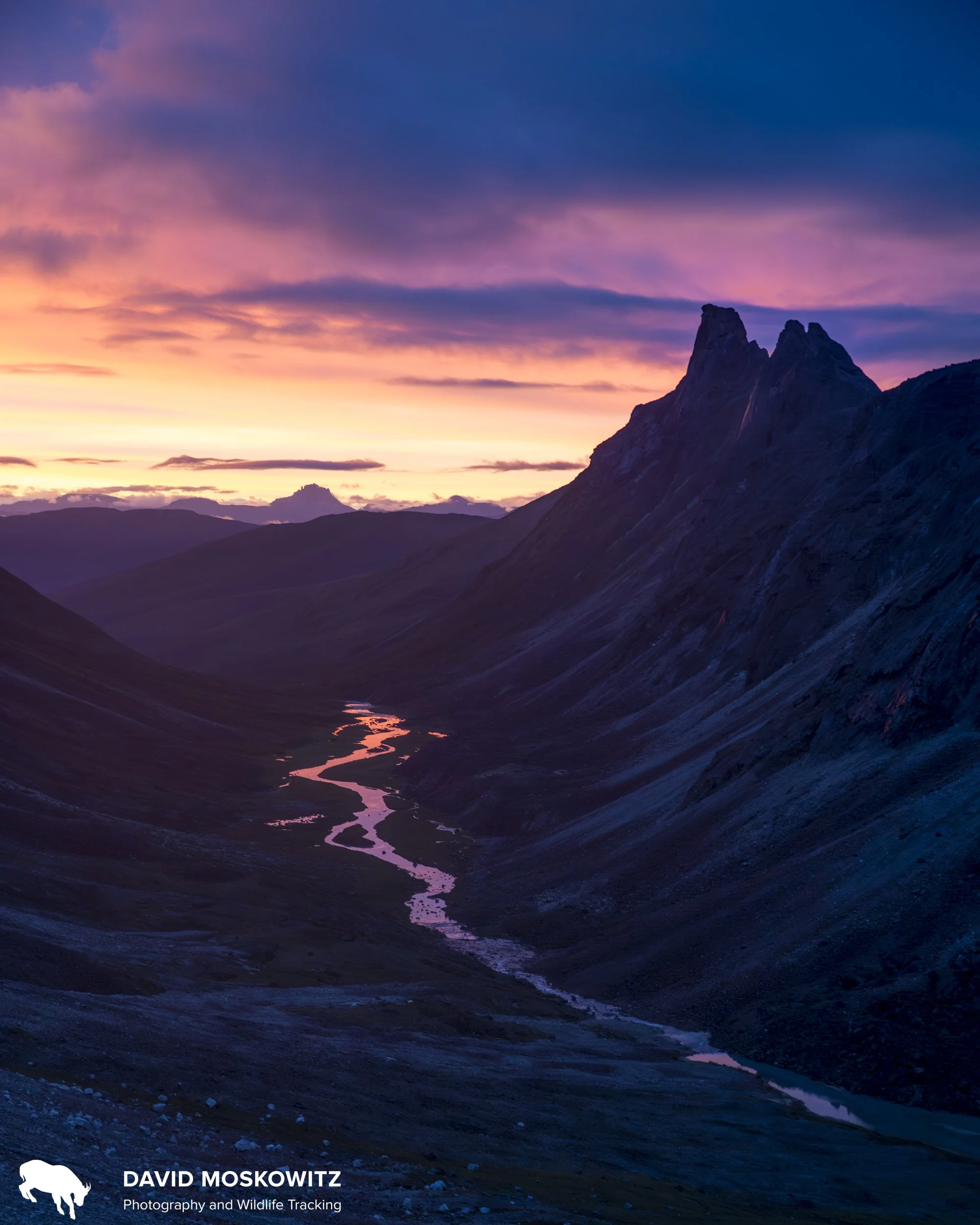 Morning light in the Arctic on Arrigetch Creek. Gates of the Arctic National Park, Brooks Range Alaska.