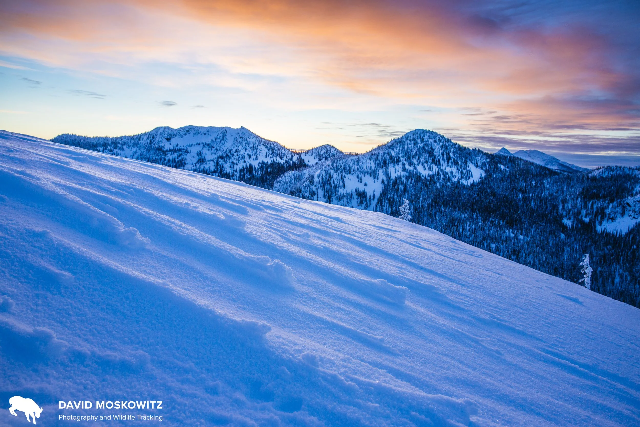 Wind sculpted snow, Selkirk Mountains.