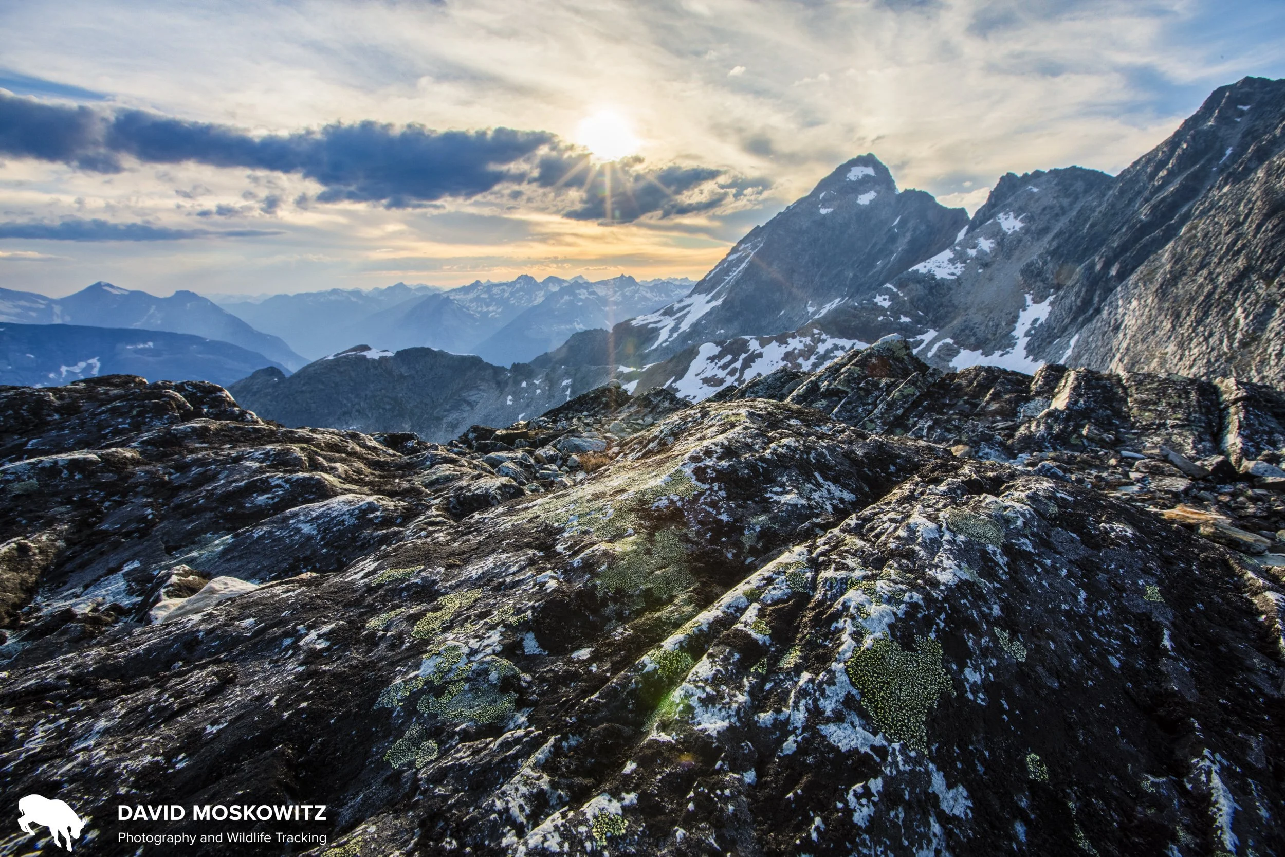 Lichens cover the glacier scoured rock on the north ridge of Mount Sir Donald in the Selkirk Mountains, British Columbia.