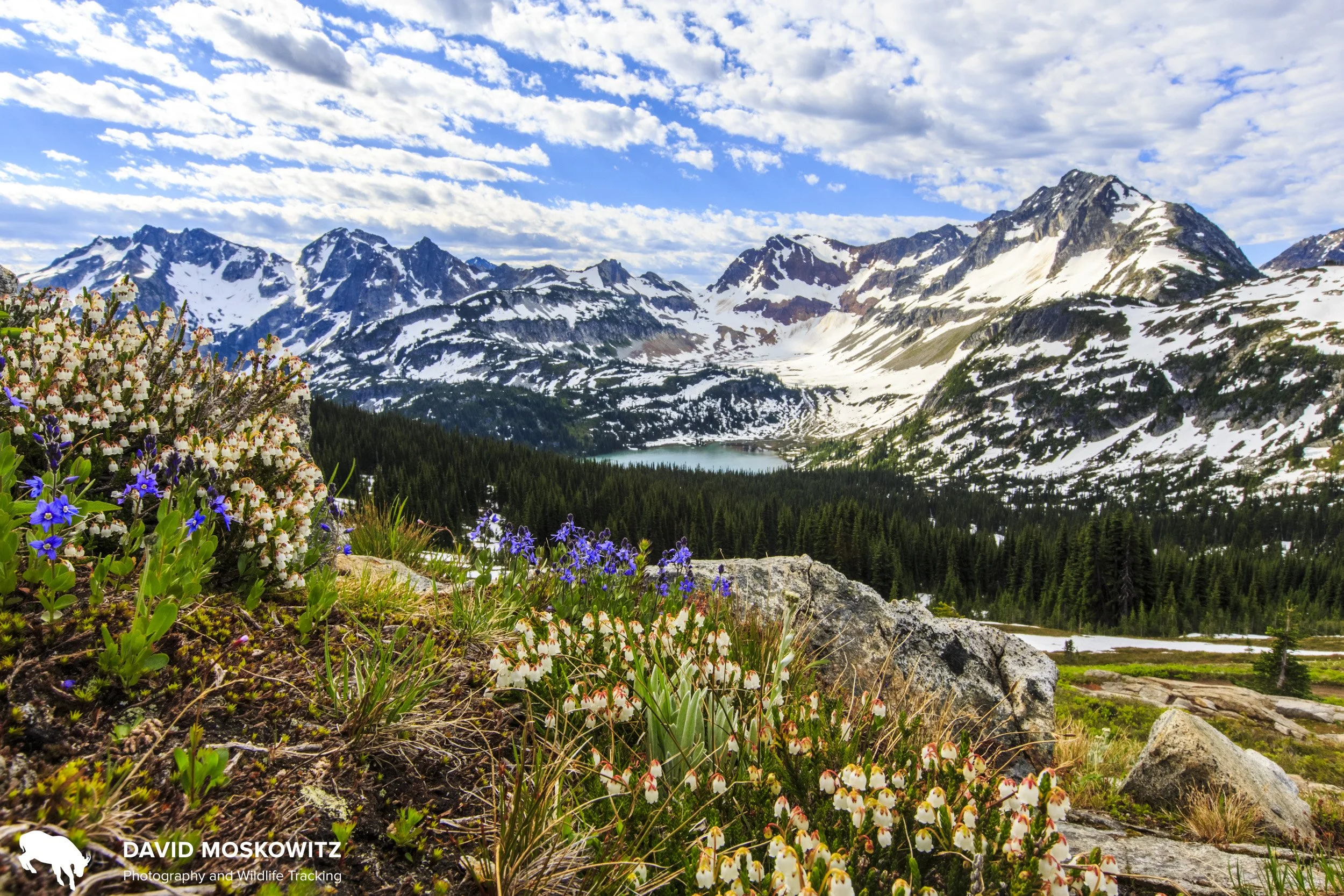 Summer in the North Cascades.