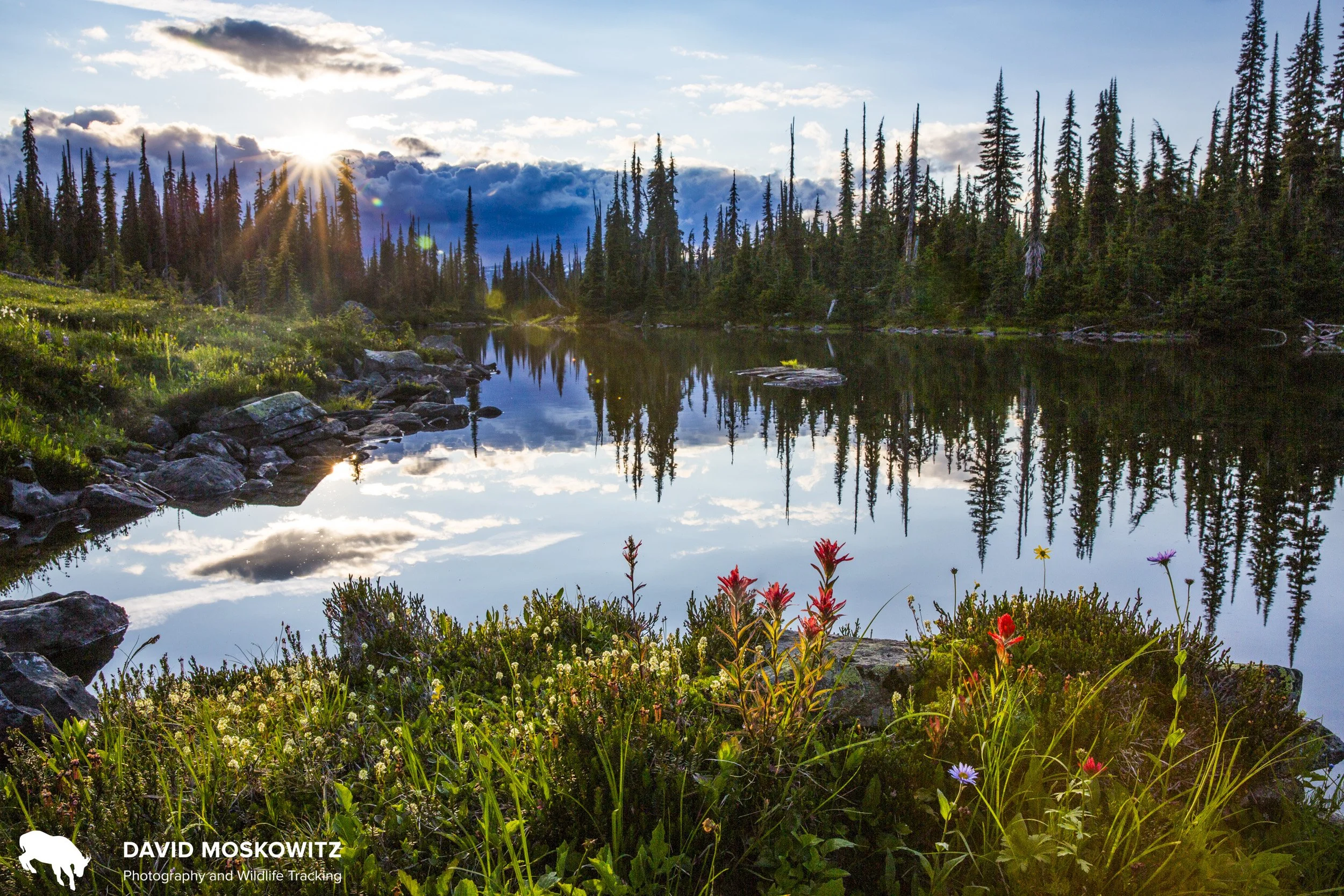 Sunset over a shallow subalpine lake in the Columbia mountains.