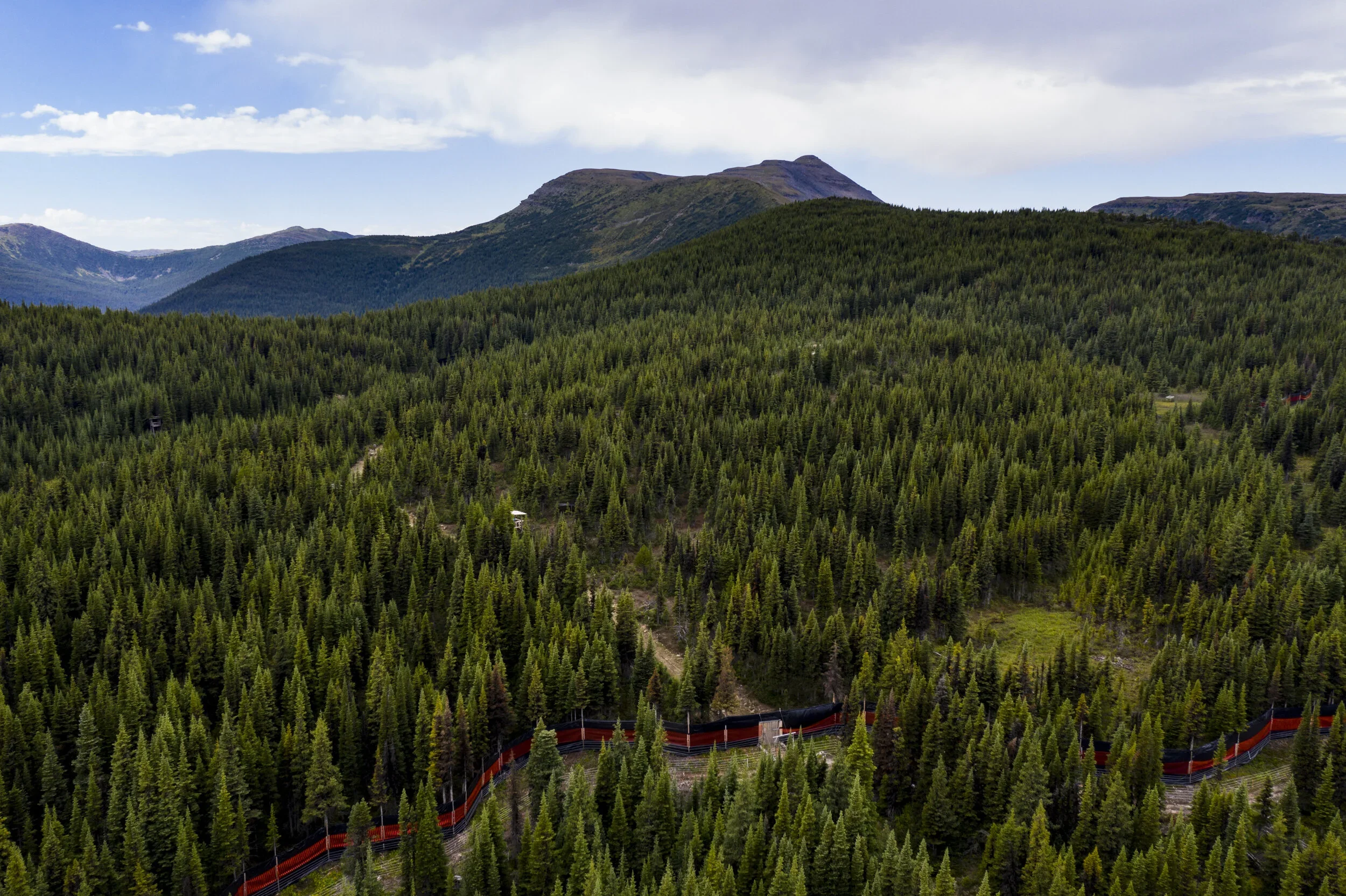 DJI_0383.webp