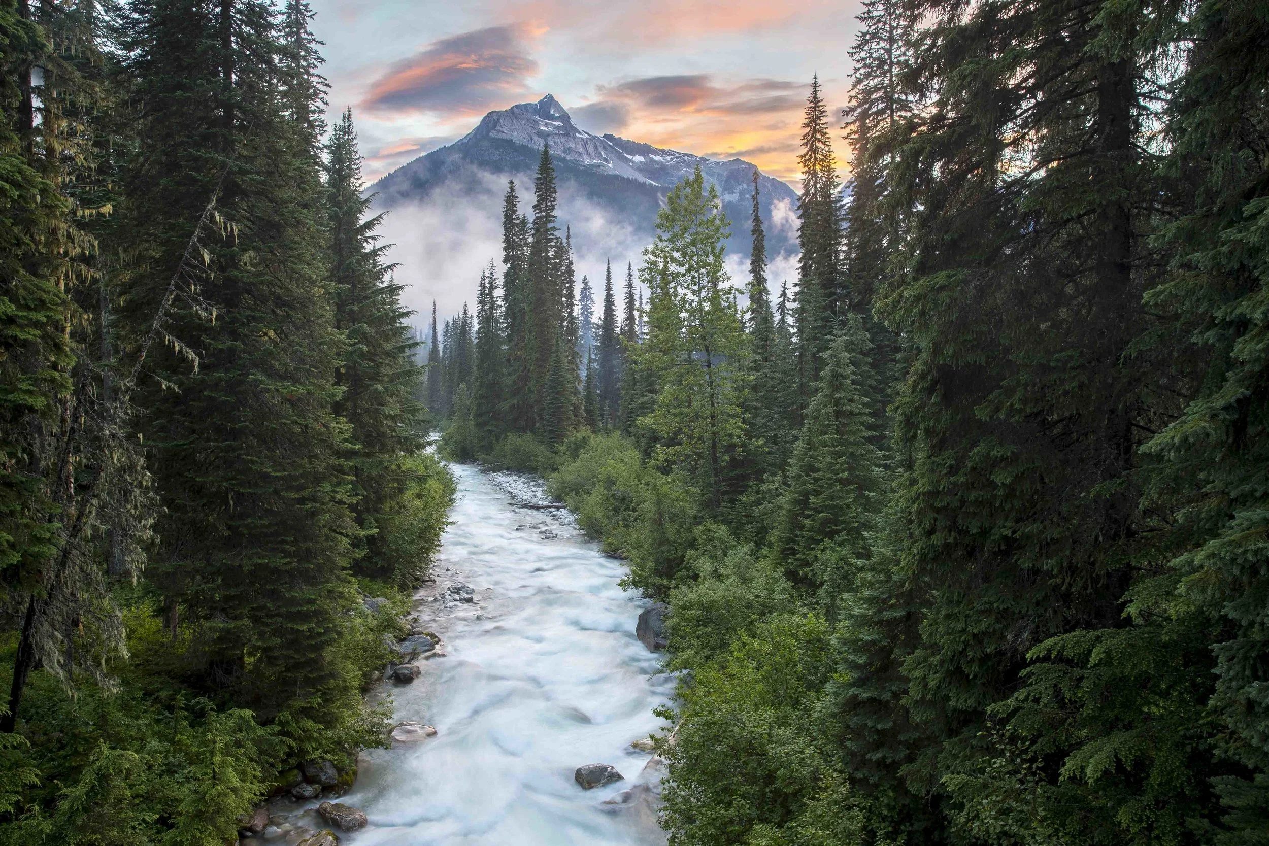 _10B8854-HDR.webp