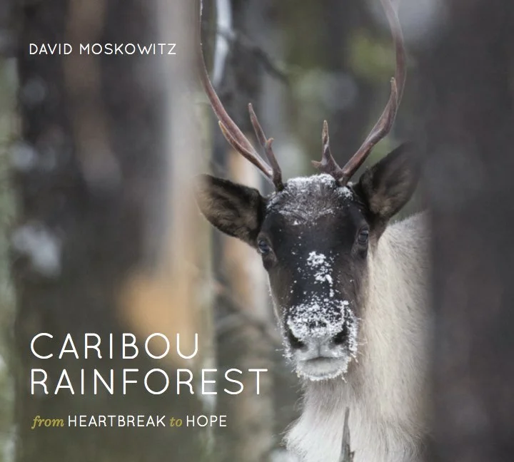 Book Cover - Caribou Book.jpg