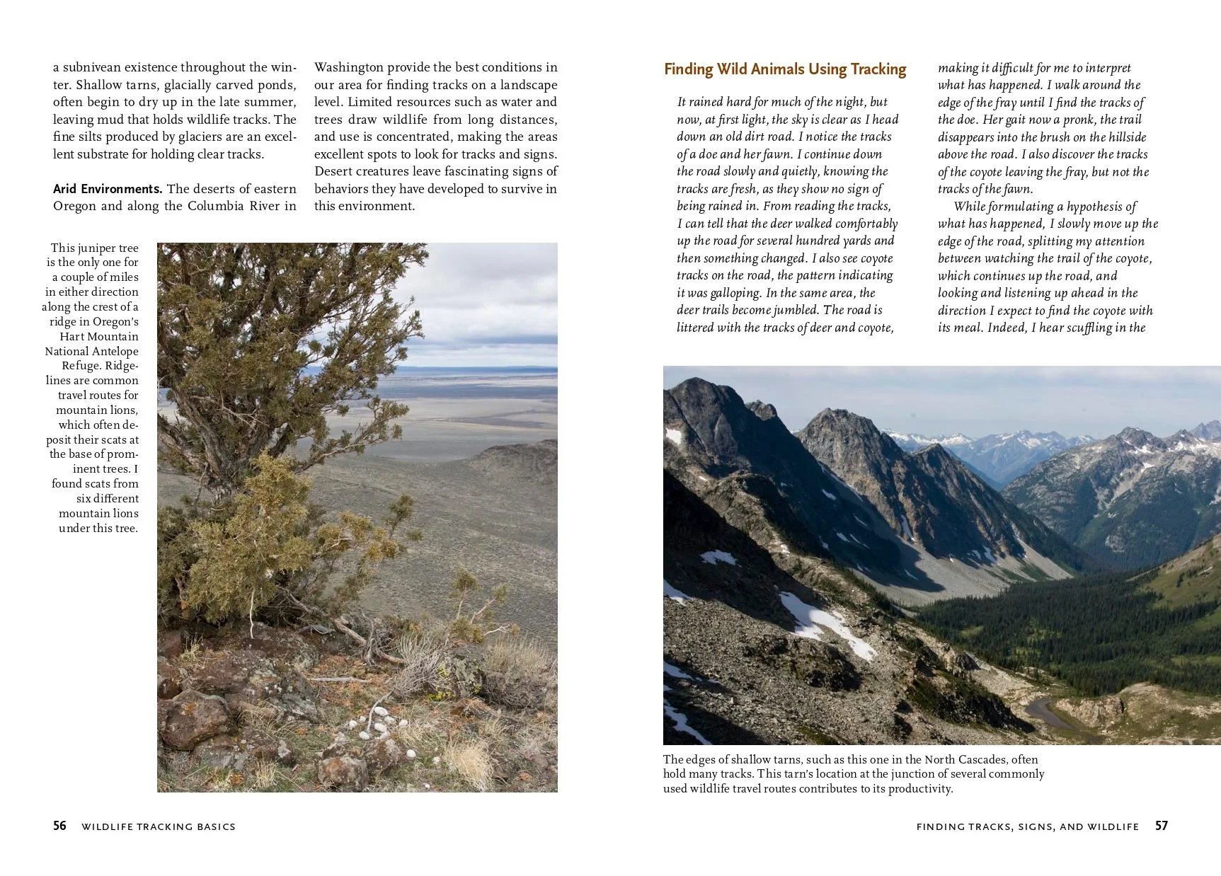 WildlifePNW pdf copy-29_page-0001.jpg